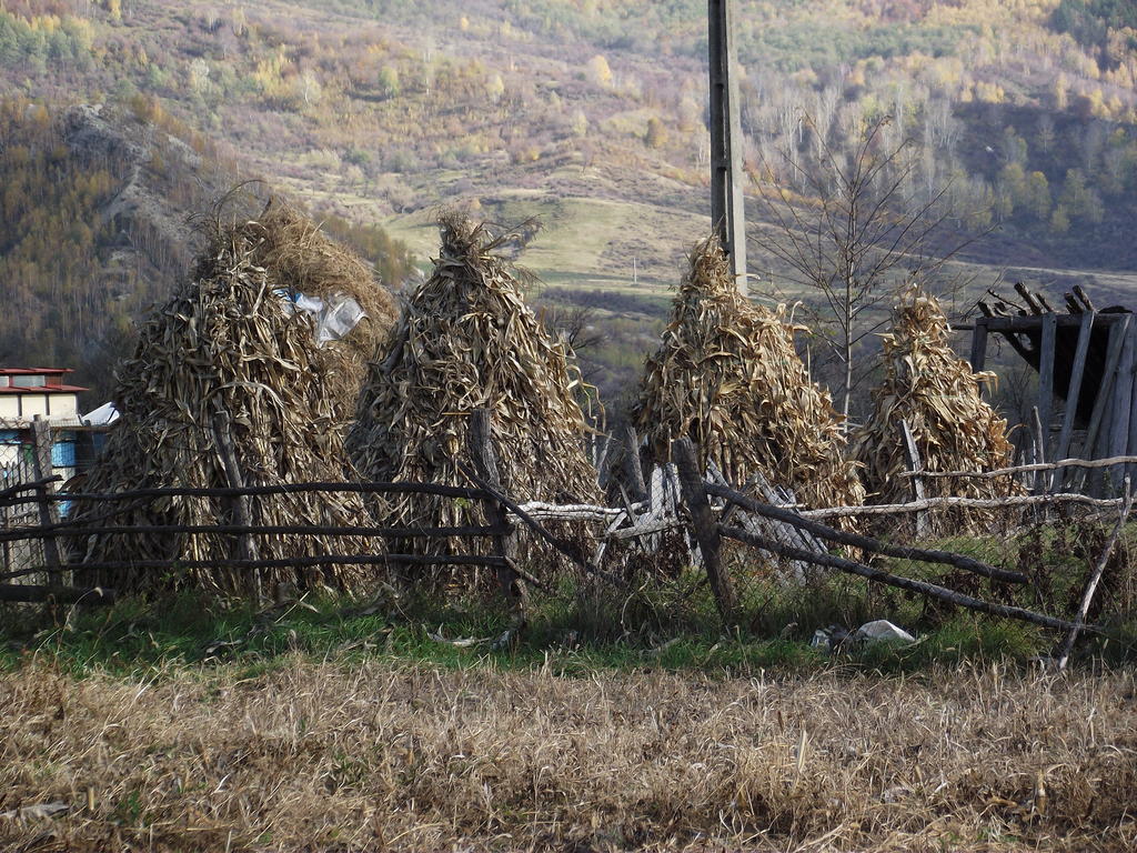 Pensiunea Valea Lupului Valea Lupului  Extérieur photo