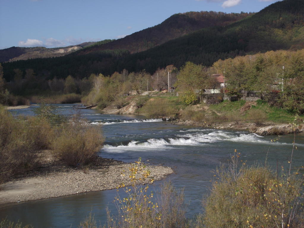 Pensiunea Valea Lupului Valea Lupului  Extérieur photo