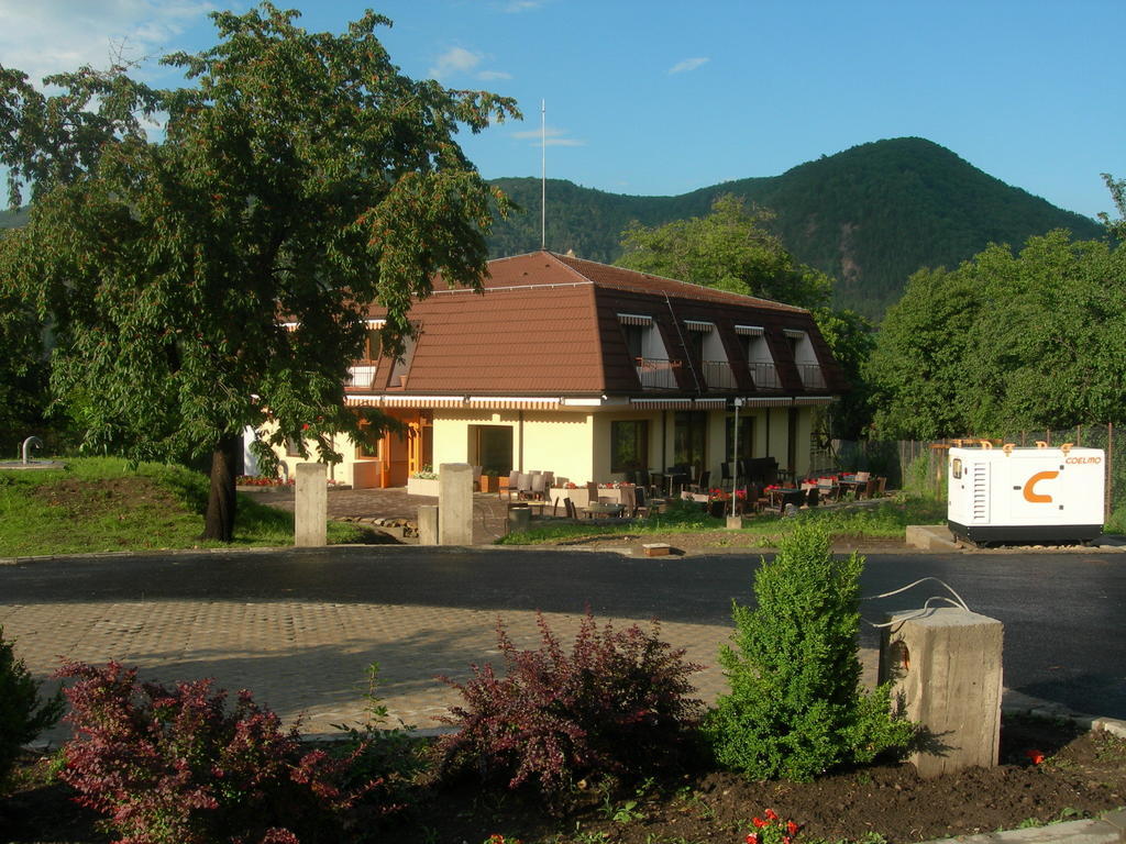 Pensiunea Valea Lupului Valea Lupului  Extérieur photo