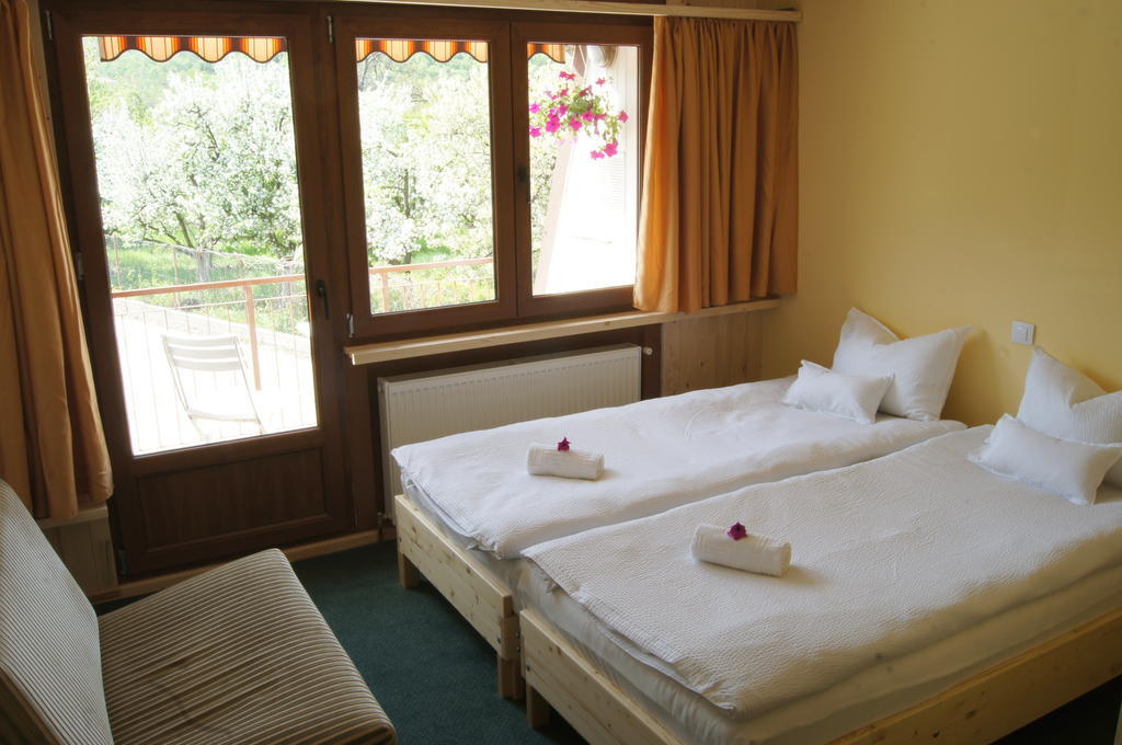 Pensiunea Valea Lupului Valea Lupului  Chambre photo