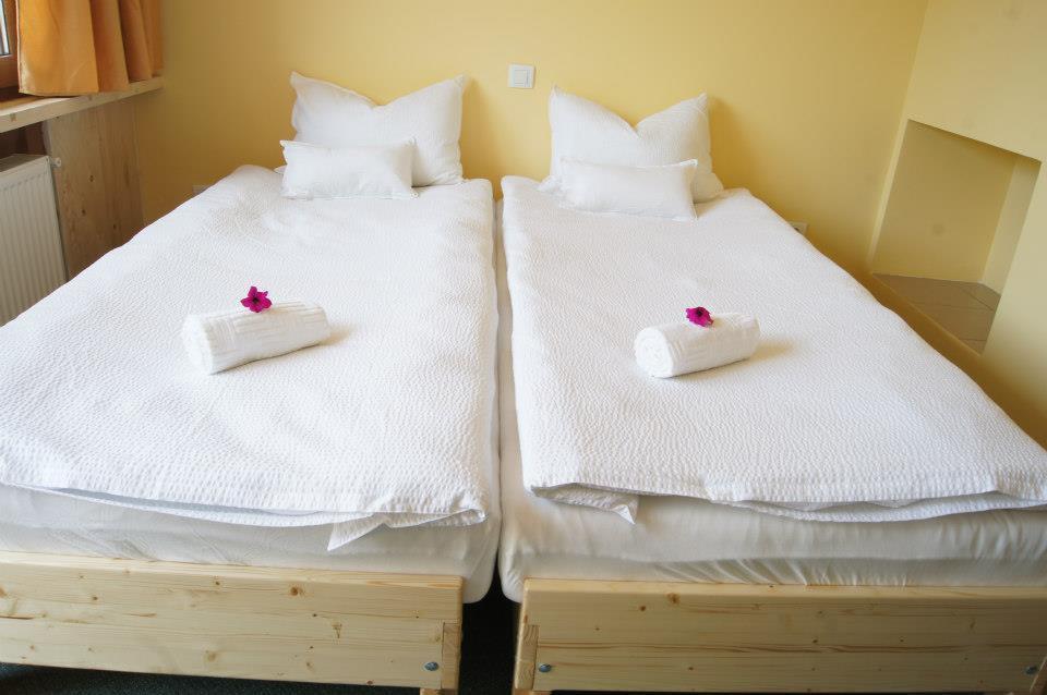 Pensiunea Valea Lupului Valea Lupului  Chambre photo