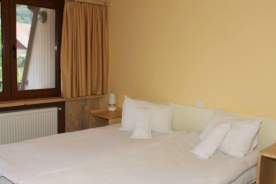Pensiunea Valea Lupului Valea Lupului  Chambre photo