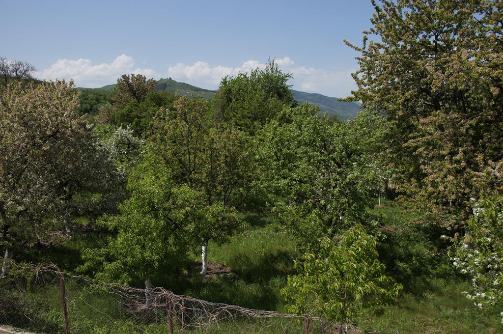 Pensiunea Valea Lupului Valea Lupului  Extérieur photo