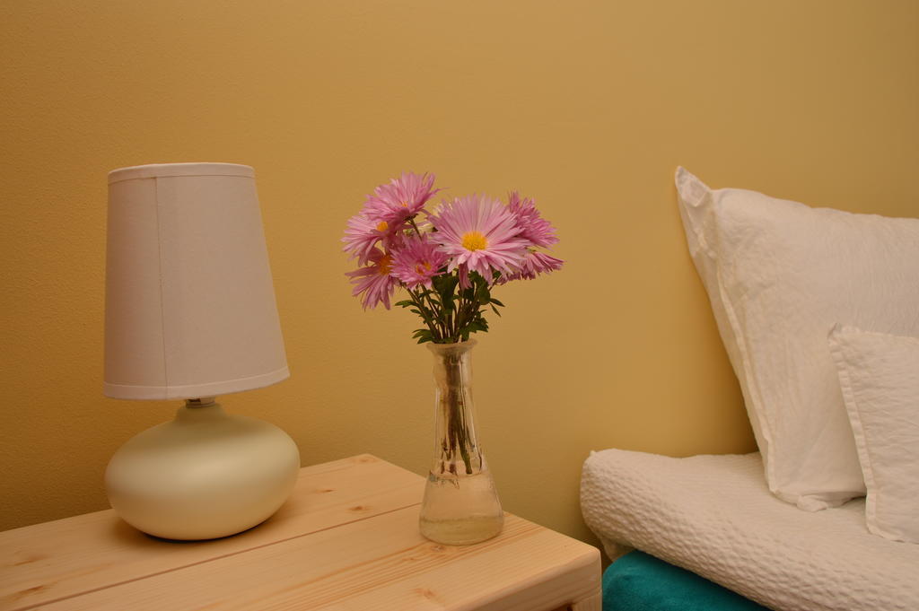 Pensiunea Valea Lupului Valea Lupului  Chambre photo
